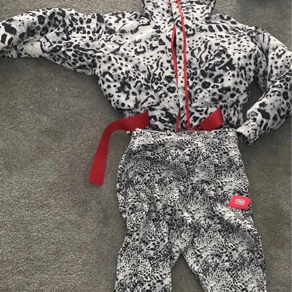 Leopard Print Ski Two Piece( Pants And Jacket) - image 2